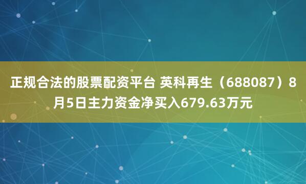 正规合法的股票配资平台 英科再生（688087）8月5日主力资金净买入679.63万元